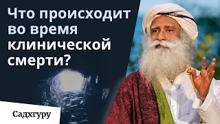 Что человек ощущает во время смерти?