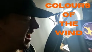 Colours of the Wind Rock/Metal Cover