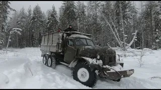 Заготавливаем дрова на автомобиле ЗИЛ 157. Как работали ссыльные в Сибири