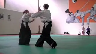 aikido 1er dan