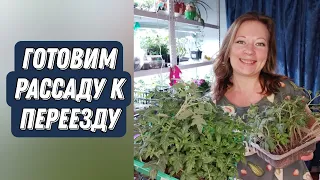 КАК ПОДГОТОВИТЬ РАССАДУ К ПЕРЕЕЗДУ БЕЗ ПОТЕРЬ 🌱🌱🌱 САД ДЛЯ ДУШИ 2022