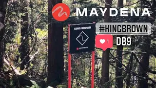 MAYDENA .. KING BROWN TRAIL TASMANIA MTB 4K