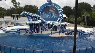 New Full Show Dolphin Days SeaWorld Orlando August 2017