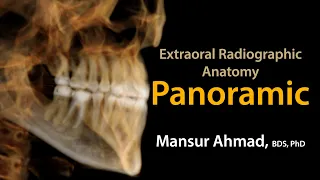 Panoramic Radiographic Anatomy