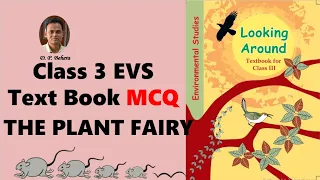 THE PLANT FAIRY MCQ | Chapter 2 | Class 3 EVS | NCERT | CBSE | KV | DAV |