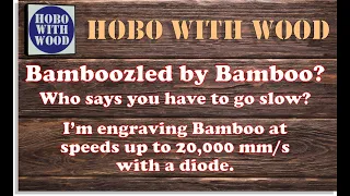 Bamboozled by Bamboo