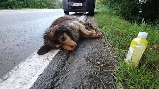 He's lying motionless beside the road scared people to touch, what he was going through is nightmare