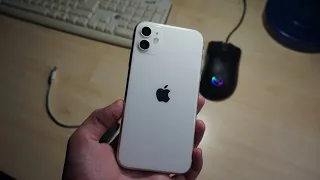 iPhone 11 в 2024 году