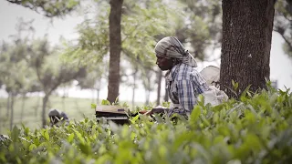 Accelerating financial inclusion in rural India | Deloitte