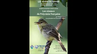 Les oiseaux de Moorea et de Polynésie française