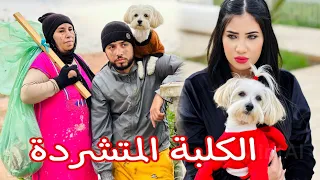 فيلم مغربي : هاذ الولد و الأم ديالو المتشردين لقاو كلبة و بسببها ورثو فلوس صحيحة  (الكلبة الغنية)