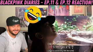 BLACKPINK DIARIES - EP.11 & EP.12 Reaction!