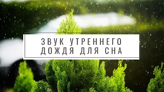 Звук утреннего дождя для сна | Осенний дождь | ASMR дождь | Черный экран