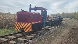 Locomotive 120 Takes Two Railcars Full of Logs Back to the Yard