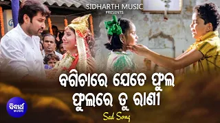 Bagichare Jete Phula  Phulare Tu Rani- Sad  Film Song | Pamela Jain | Akash,Riya | Sidharth Music