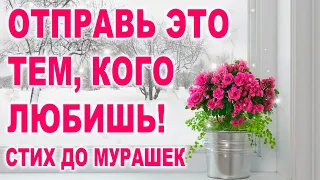 ОЧЕНЬ МУДРАЯ ПРИТЧА! С ДОБРЫМ УТРОМ! ДОБРОЕ УТРЕЧКО ХОРОШЕГО ДНЯ! СТИХ | Вера Савченко