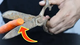 From Rusty Junk to Razor Sharp: Incredible Scissor Restoration!