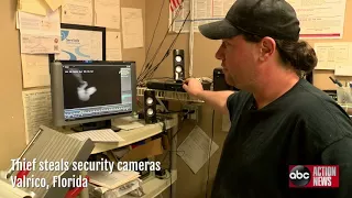 Valrico thief caught damaging businesses cameras | Digital Short