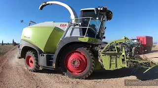 Montage 19 avril 2020.   En pays du Lavandin. Plateau de Valensole et ses environs.