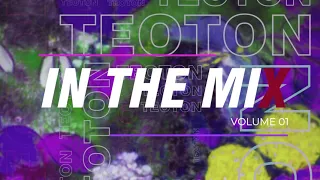 TeoTon in the miX Vol.  01