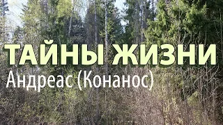 Твои проблемы разрешатся только тогда, когда... - Андреас (Конанос) Тайны жизни