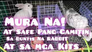 Rabbit| BUNTIS NA RABBIT PAANO MO MAALALAYAN SA PANGANGANAK?