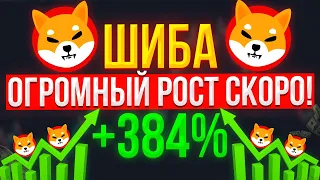 ШИБА УЖЕ ГОТОВ ПОКАЗАТЬ РОСТ! И ВОТ КАКИЕ ФАКТОРЫ ДЛЯ ЭТОГО ЕСТЬ!