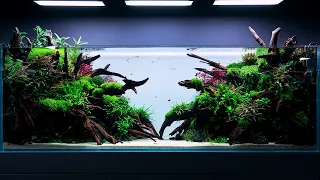 The BIGGEST PLANTED TANK In the GREEN AQUA Gallery - 4K Cinematic