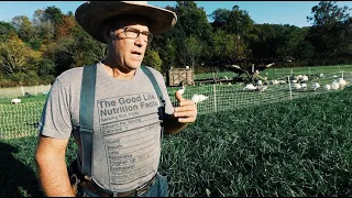 How Joel Salatin’s Farming Style CAN Feed the World