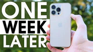 Apple's ALMOST Perfect Phone - iPhone 13 Pro, One Week Later