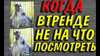 17 УДИВИТЕЛЬНЫХ И ЗАВОРАЖИВАЮЩИХ ВЕЩЕЙ ИЗ ПРОСТЫХ ПОДРУЧНЫХ СРЕДСТВ.ТОП Подборка