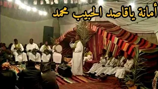 الأمانة ياقاصد الحبيب محمد صلى الله عليه وسلّم فرقة الانوار  الشط ورقلة عرس ورقلة منشد بساطي زنخري