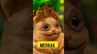 इंसान की तरह रोने वाला पौधा 🤔|mandrake plant crying in hindi | rone wala paodha | #shorts #viral