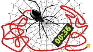 🕷 Spider Animation Bomb 💣 1 Minute Timer Explosion 💥