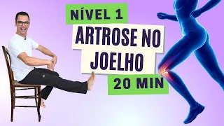 EXERCÍCIOS ARTROSE NO JOELHO | Nível 1 | Exercícios para Idosos