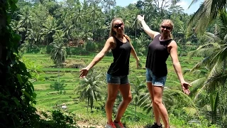 Tasting cat poop coffee, Tegalalang rice terrace, Tirta empul temple, Ubud, Bali - Travel Vlog