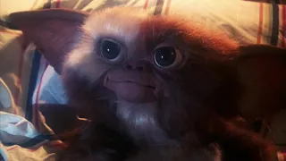 Gremlins (1984) Gizmo's Theme Suite