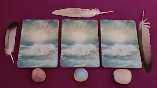 The Next Three Months ☀️ Spring Equinox  🌸 Timeless Pick A Card Reading