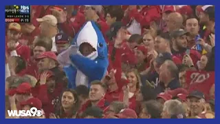 Baby Shark at Washington Nationals games