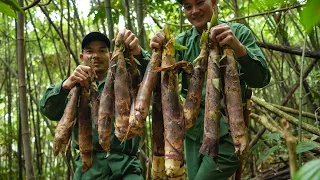 LOẠI MĂNG ĐẮNG NHẤT NÚI RỪNG - CHỜ HƠN 1 NĂM MỚI ĐƯỢC ĂN - Thợ Rừng