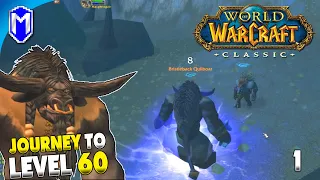 What Have I Gotten Myself Into!? - WoW Classic Journey To Level 60 Episode 1