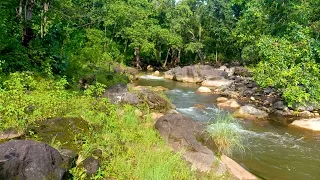 Best River Nature Sounds for Sleeping with Crickets and Birds