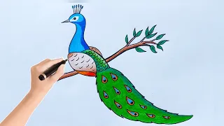 How to Draw a Beautiful Peacock, Easy Colour Drawing || #peacockdrawing