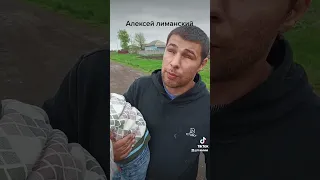 Слепой музыкант