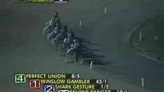 2006 - Messenger Stakes Final