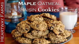 Maple Oatmeal Raisin Cookies A Sugar Free and Gluten Free Cookie Recipe! | Healthy Cookie Recipes