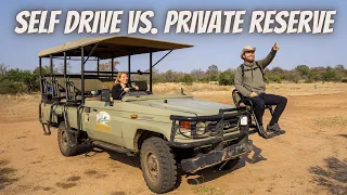 THIS IS WHY YOU SHOULD VISIT SOUTH AFRICA! | Self-Drive vs Private Reserve in Kruger National Park