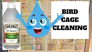 Cleaning Bird Cages