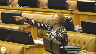 Mosiuoa Lekota And FF Plus vs "Ginger" Lindiwe Zulu