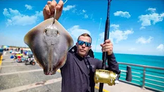 FISHING GIANT BAITS FOR JETTY GIANTS! *ALMOST LOST THE ROD*